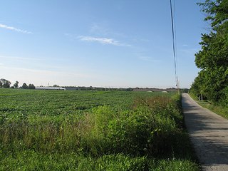 Property photo 6 - 80+/- Acres Land Auction offered in 5 Tracts